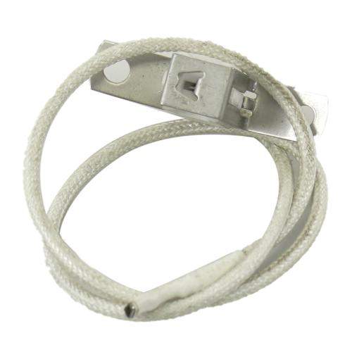 SD318148604 318148604-AP4481834-top-burner-ignitor