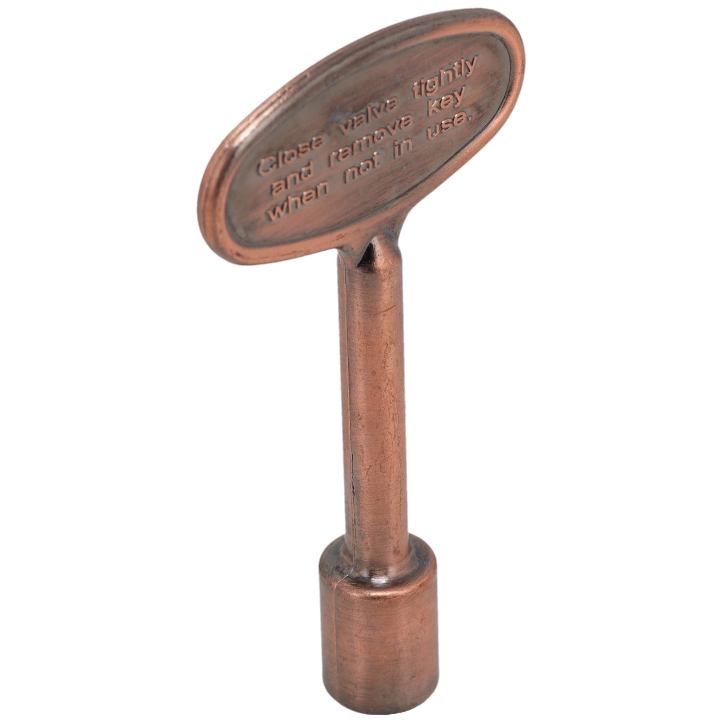 SDSVL-2AC svl-2ac-key-with-pure-fire-artwork view 61