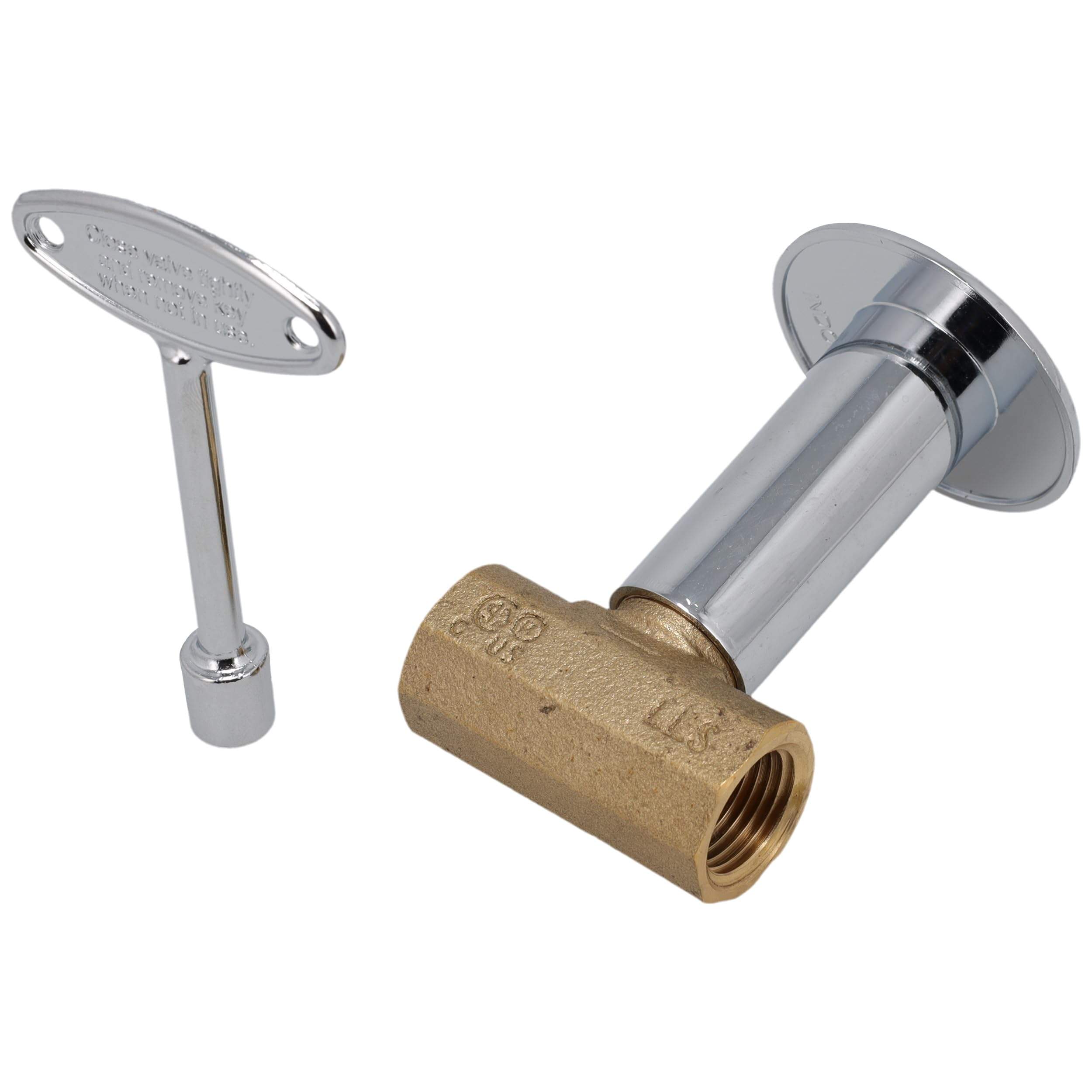 SDSVS-2CP svs-2cp-npt-straight-stop-valve-escutcheon-and-key view 81