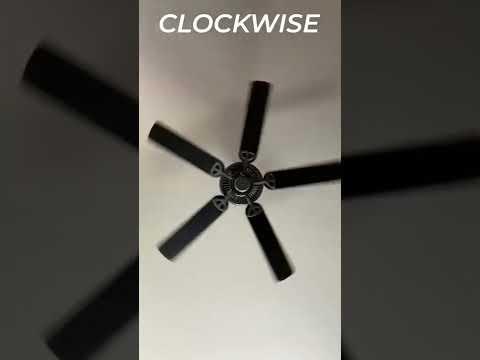 How to utilize your ceiling fan during summer or winter #hvac #summertips #shorts #ceilingfan #sd