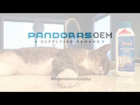 International Cat Day | Pandoras OEM