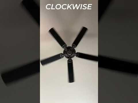 Use your ceiling fan to save money and feel cool all summer! #fanvideo #ceilingfan #short #hvac