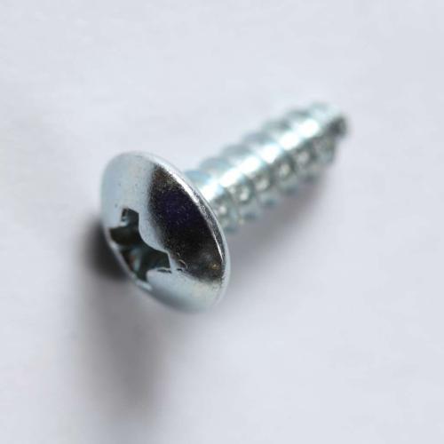 SD1TTL0402818 1ttl0402818-truss-head-screw