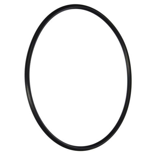 SD51011900 51011900-o-ring-filter