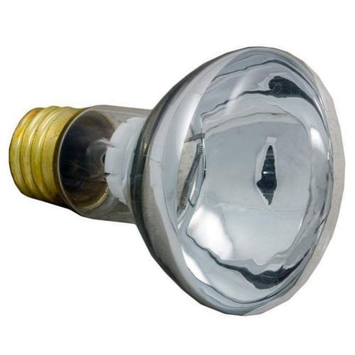 SD79108100 79108100-floodlamp-medium-base-100