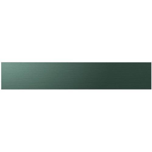 SDRAF36DMMQGAA raf36dmmqgaa-ra-f36dmmqg-aa-door-panel-middle-panel-emerald-green-steel