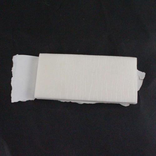 SDWR02X13731 wr02x13731-fan-gasket-front