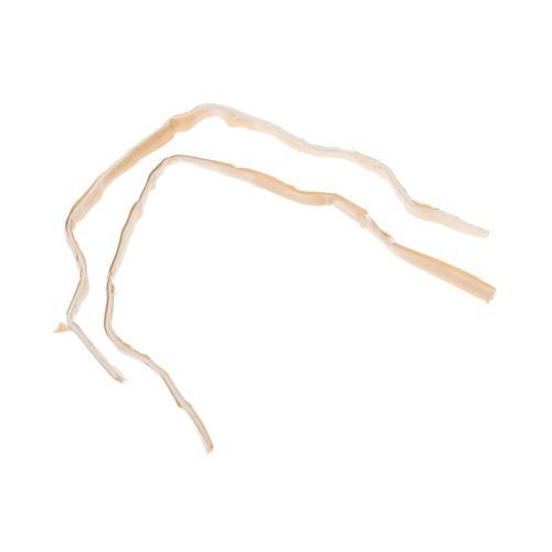 SDWR97X140 wr97x140-sealer-dryer-seal