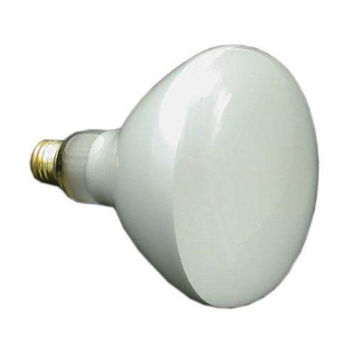 SD79107600 79107600-floodlamp-120v-300watt